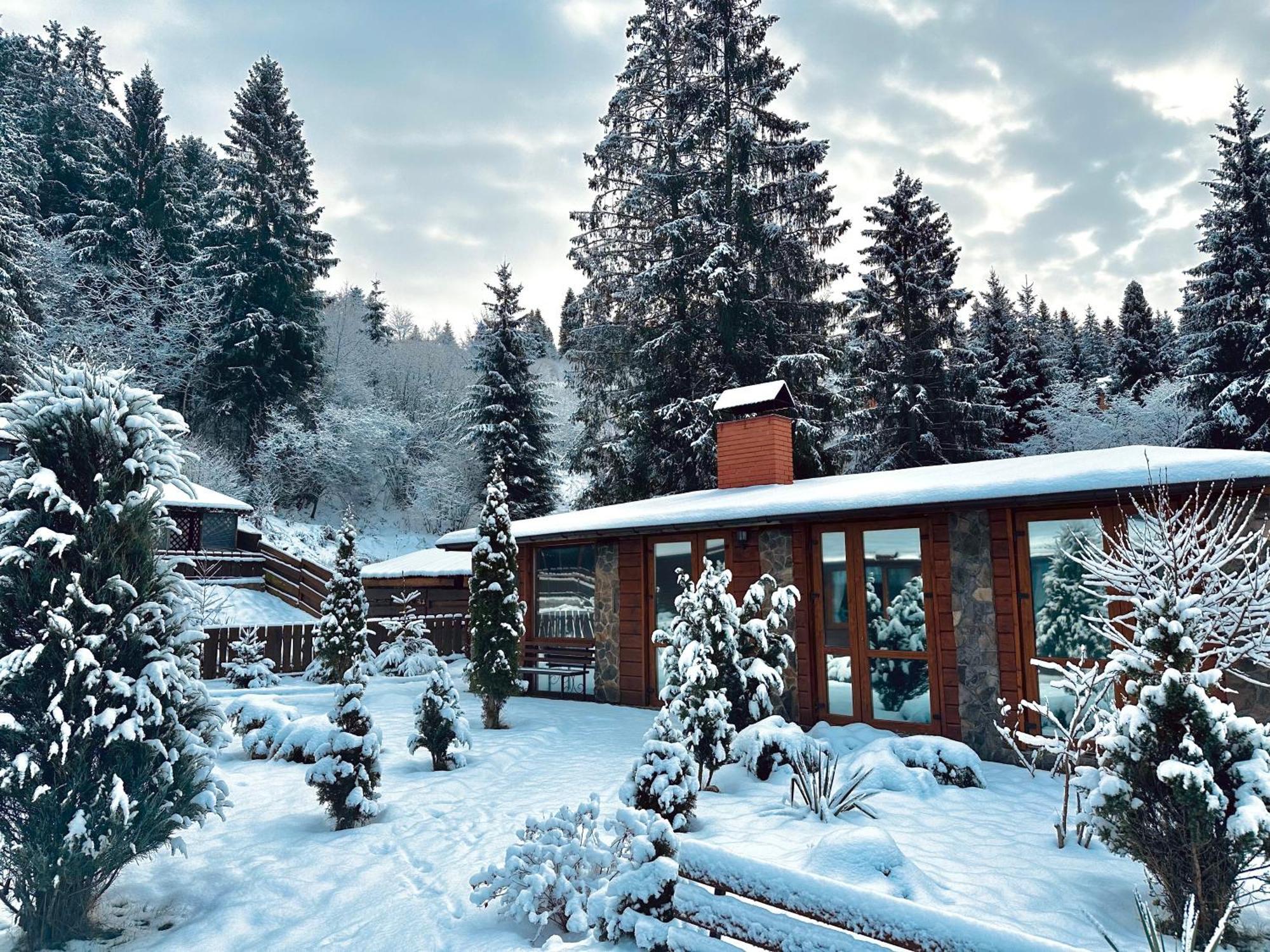Chalet Filvarok Slavske Exteriör bild