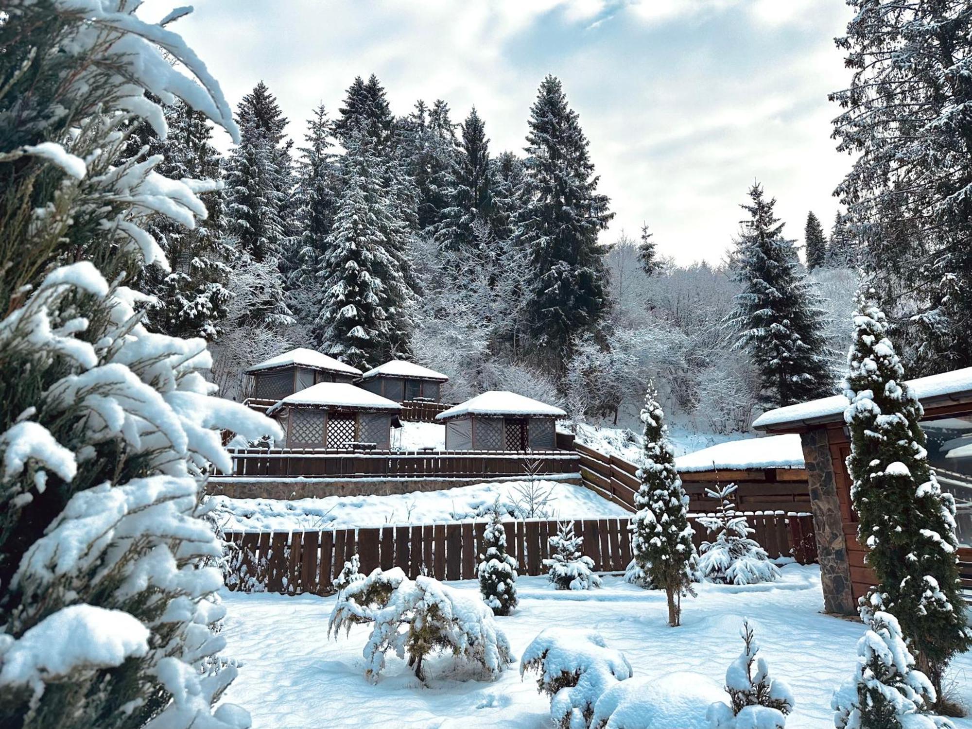 Chalet Filvarok Slavske Exteriör bild